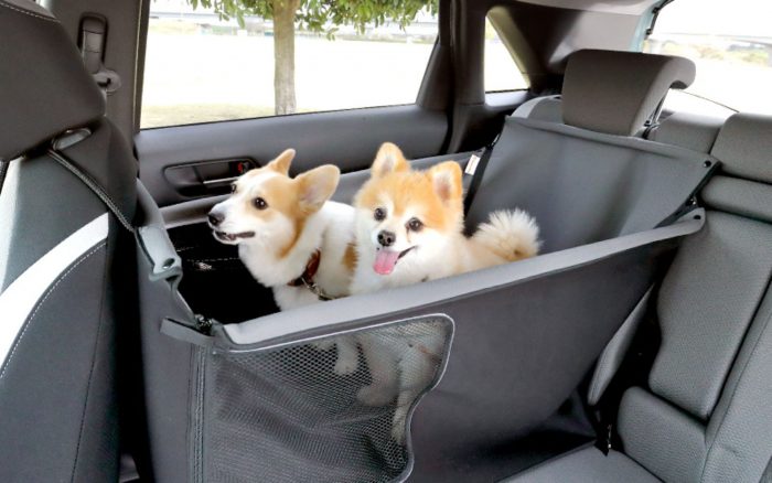 El nuevo Dog Kit de Fiat: en coche con tu mascota 
