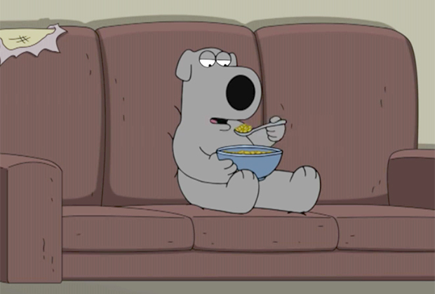 Padre de Familia contará con el perro Brian en un arco de varios episodios  de la decimosexta temporada - Series Adictos